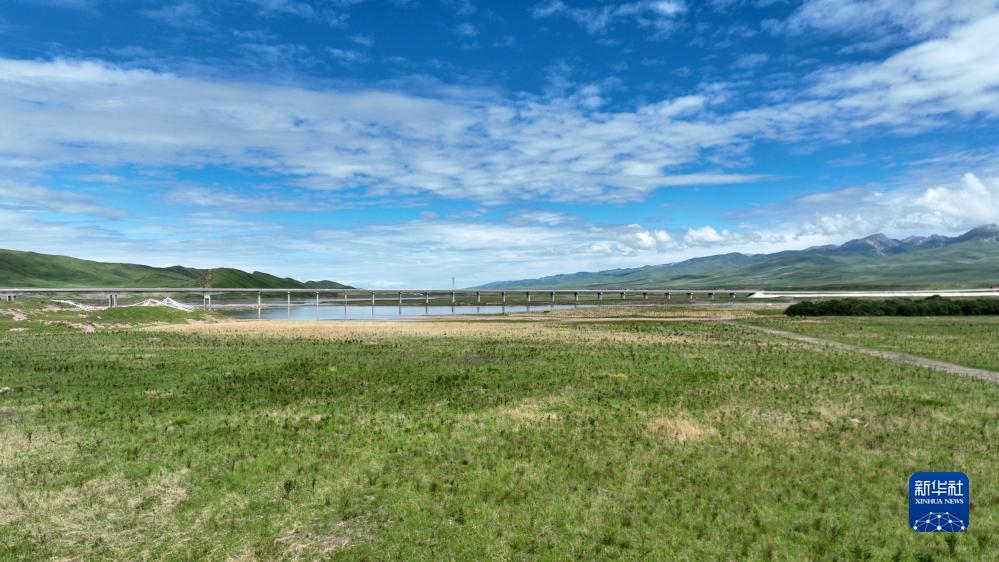 太阳游戏下载